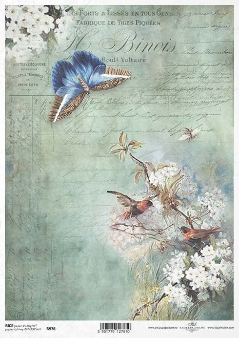 Vogel und Schmetterling // Reispapier // 1 Blatt // DIN A 4