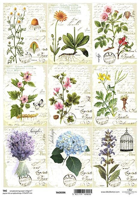 Herbarium TAGs // 1 Blatt // DIN A 4