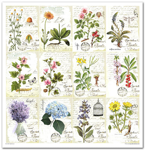 Herbarium // 30,5 cm x 30,5 cm Scrapbooking Papier - Set // ITD
