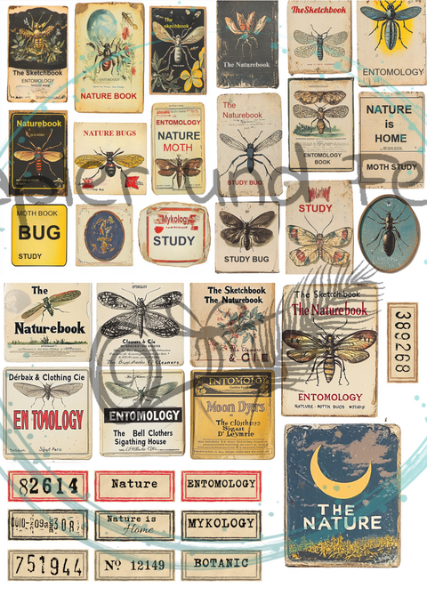 "Das Sketchbuch der Natur" // Ephemera & Label Set // Papier & Feder // 11 Seiten // einseitig bedruckt