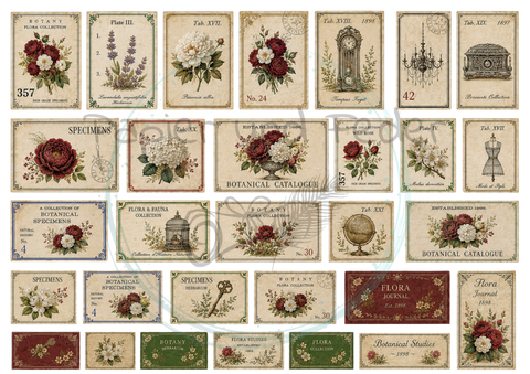 Design paper "Betty's herb garden" // 12 pages // DIN A 4 // printed on both sides