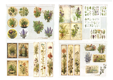 "Sini-Mini" Kreativset "Kräuter" // 17 Seiten // DIN A 4 // 110 g/m² und 160 g/m²