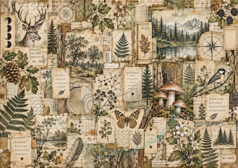 Designpapier "Waldspaziergang" // 12 Blatt // DIN A 4 // einseitig bedruckt