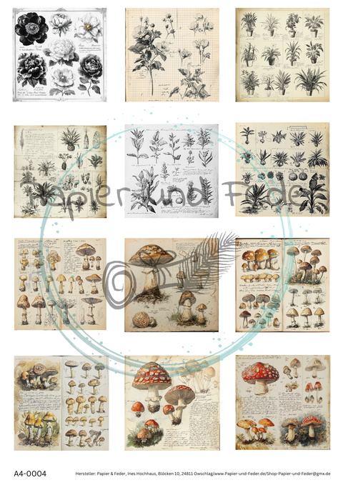 Pictures for Collage Strips "Plants and Mushrooms" (1) // DIN A 4 sheet // 160 g/m²