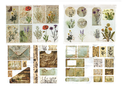 "Sini-Mini" Kreativset "Kräuter" // 17 Seiten // DIN A 4 // 110 g/m² und 160 g/m²