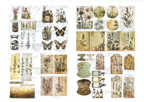 "Sini-Mini" Kreativset "Kräuter" // 17 Seiten // DIN A 4 // 110 g/m² und 160 g/m²