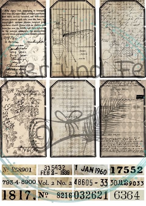 "Das Sketchbuch der Natur" // Ephemera & Label Set // Papier & Feder // 11 Seiten // einseitig bedruckt