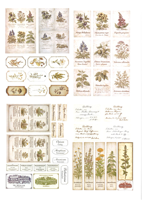 "Sini-Mini" Kreativset "Kräuter" // 17 Seiten // DIN A 4 // 110 g/m² und 160 g/m²