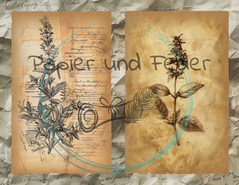 Design paper "Betty's Herb Garden II" // 12 pages // Letter Size // printed on ONE SIDE (front sides) (copy)