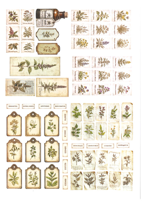 "Sini-Mini" Kreativset "Kräuter" // 17 Seiten // DIN A 4 // 110 g/m² und 160 g/m²