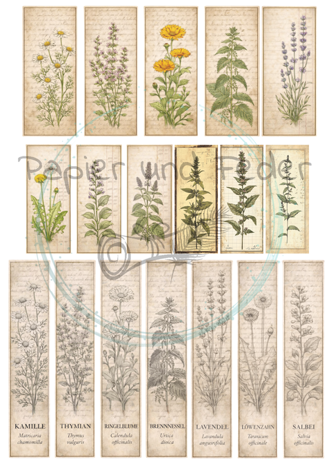 Label- und Ephemeraset zum Papierset "Betty's Kräuterapotheke" // 16 Seiten // DIN A 4 // 160 g/m²