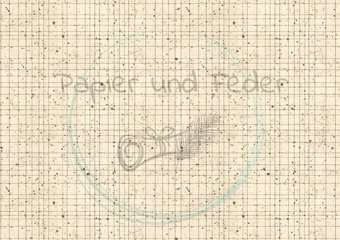 Paper &amp; Feather "Mystery Box" - paper sets