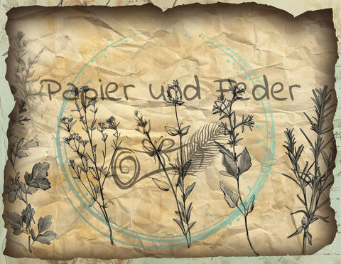 Design paper "Betty's Herb Garden II" // 12 pages // Letter Size // printed double-sided