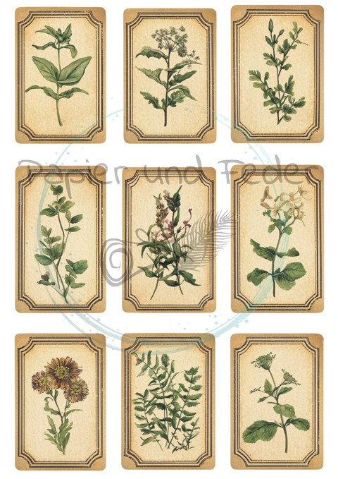 Label- und Ephemeraset zum Papierset "Betty's Kräuterapotheke" // 16 Seiten // DIN A 4 // 160 g/m²