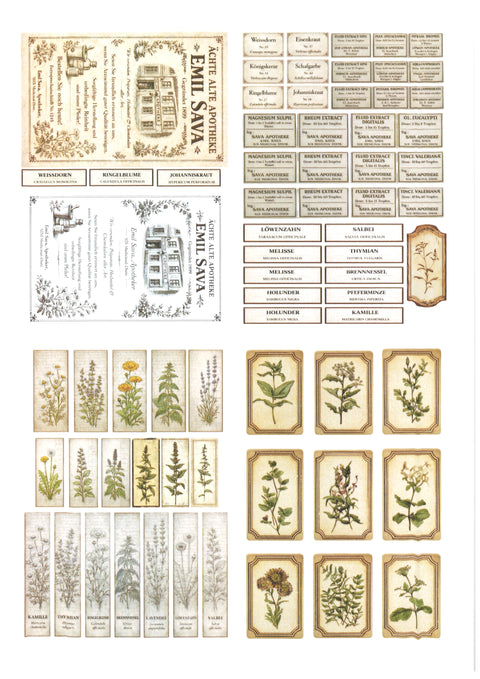 "Sini-Mini" Kreativset "Kräuter" // 17 Seiten // DIN A 4 // 110 g/m² und 160 g/m²