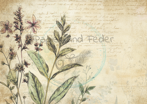 Designpapier "Betty's Kräuterapotheke" // 12 Seiten // DIN A 4 // doppelseitig bedruckt