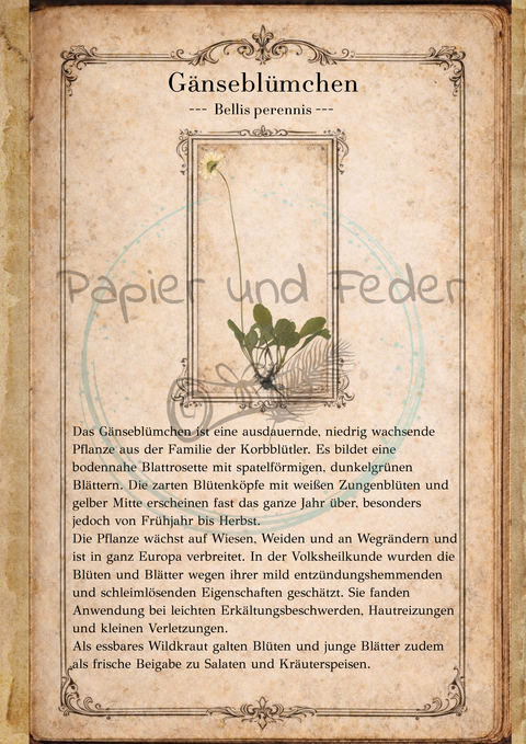 "Sina's Herbarium" // Booklet mit 22 Seiten // DIN A 5