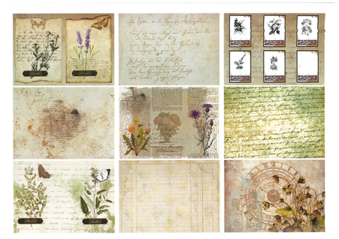 "Sini-Mini" Kreativset "Kräuter" // 17 Seiten // DIN A 4 // 110 g/m² und 160 g/m²