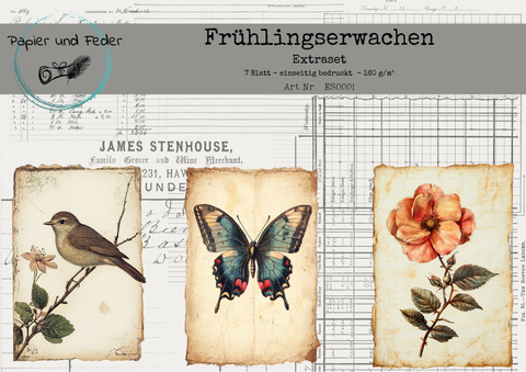 "Frühlingserwachen" // Extraset // Papier & Feder // 7 Seiten // einseitig bedruckt