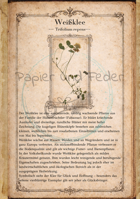 "Sina's Herbarium" // Booklet mit 22 Seiten // DIN A 5