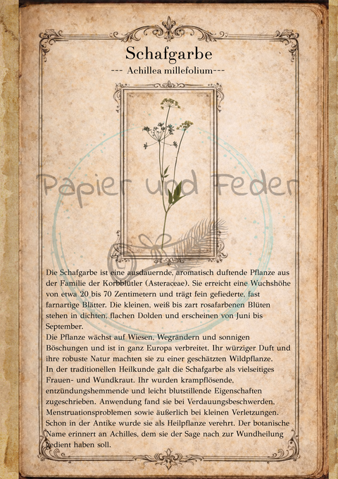 "Sina's Herbarium" // Booklet mit 22 Seiten // DIN A 5