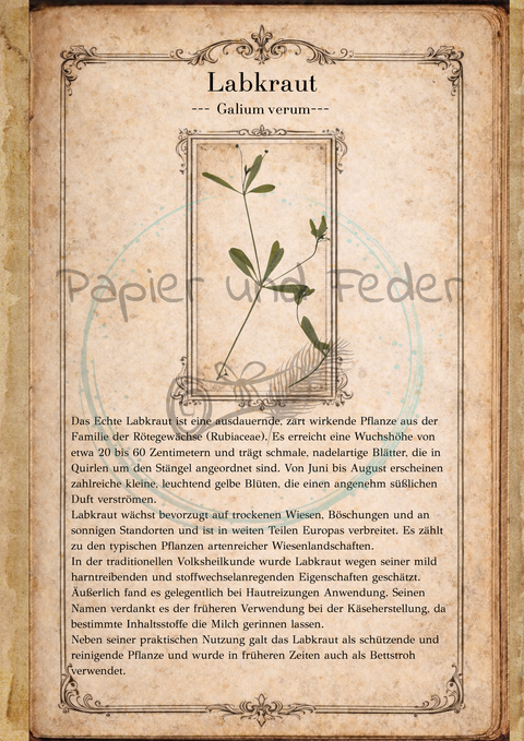 "Sina's Herbarium" // Booklet mit 22 Seiten // DIN A 5