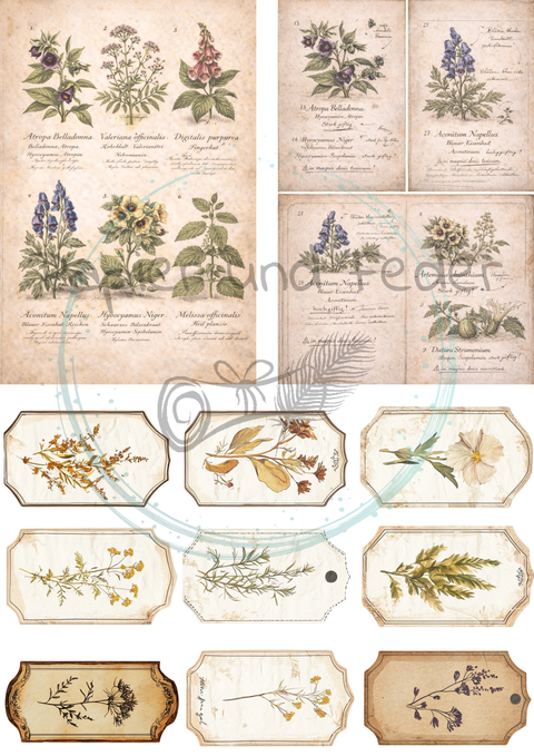 Label- und Ephemeraset zum Papierset "Betty's Kräuterapotheke" // 16 Seiten // DIN A 4 // 160 g/m²