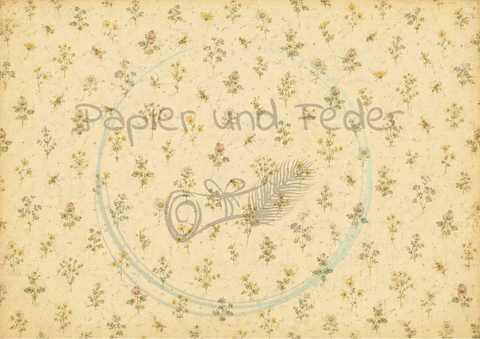 Papier & Feder "Mystery Box" - fertig gepackt MIT Journal