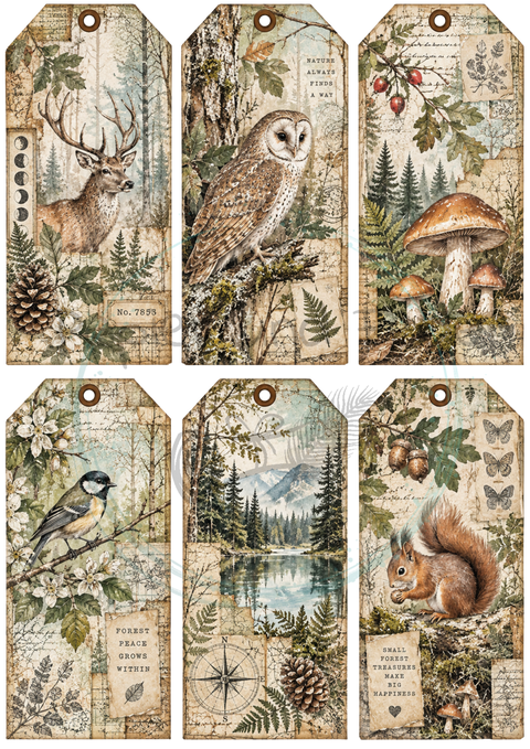KOMPLETTSET "Waldspaziergang"