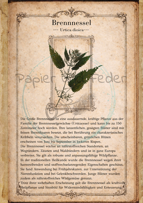 "Sina's Herbarium" // Booklet mit 22 Seiten // DIN A 5