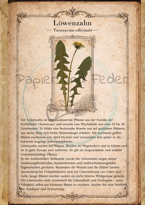 "Sina's Herbarium" // Booklet mit 22 Seiten // DIN A 5