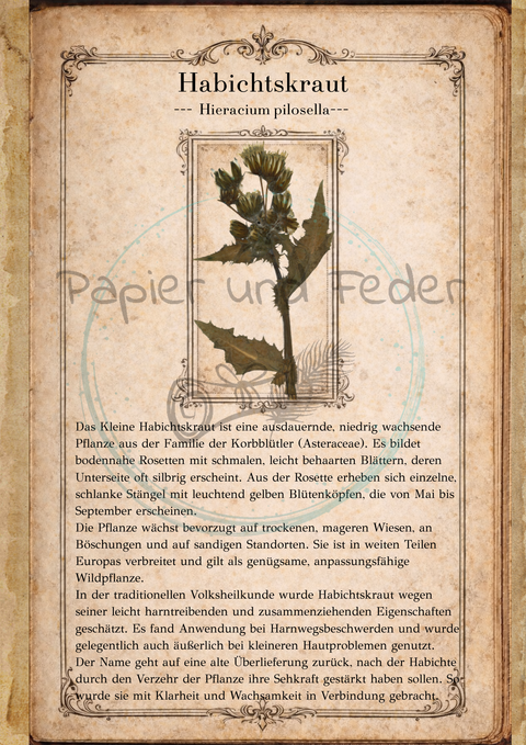 "Sina's Herbarium" // Booklet mit 22 Seiten // DIN A 5