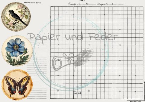 Basicpapier "Frühlingserwachen" // 12 Seiten // DIN A 4 // einseitig bedruckt