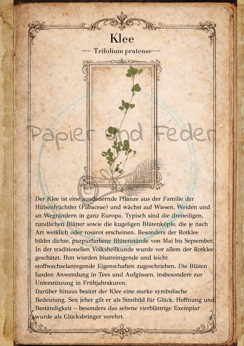 "Sina's Herbarium" // Booklet mit 22 Seiten // DIN A 5