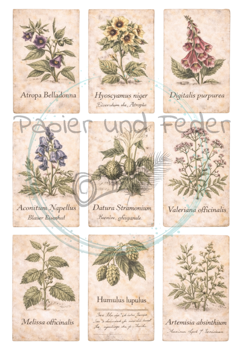 Label- und Ephemeraset zum Papierset "Betty's Kräuterapotheke" // 16 Seiten // DIN A 4 // 160 g/m²
