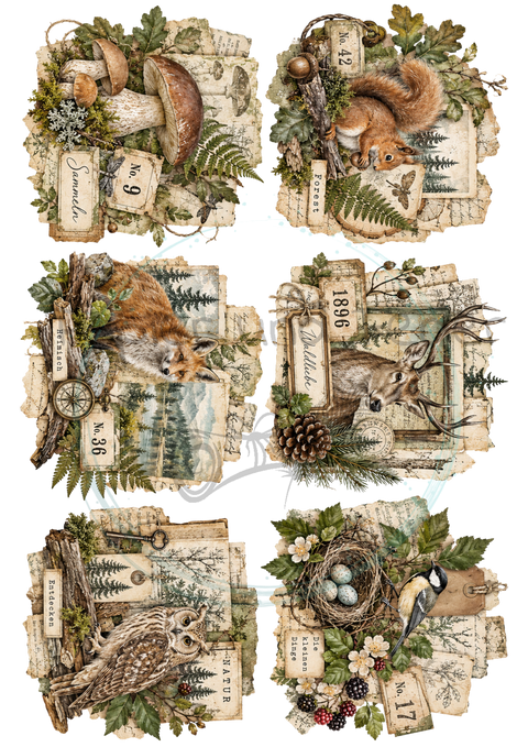 KOMPLETTSET "Waldspaziergang"