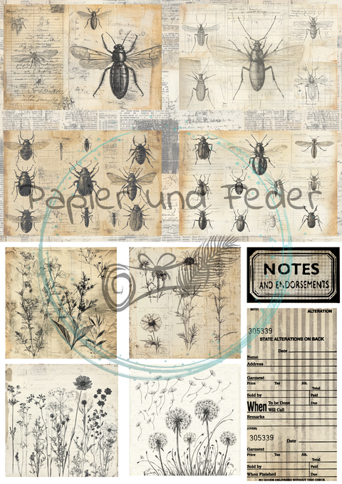 "Das Sketchbuch der Natur" // Ephemera & Label Set // Papier & Feder // 11 Seiten // einseitig bedruckt
