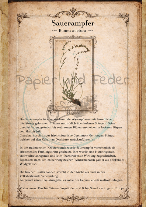 "Sina's Herbarium" // Booklet mit 22 Seiten // DIN A 5