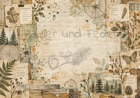 Designpapier "Waldspaziergang" // 12 Blatt // DIN A 4 // einseitig bedruckt