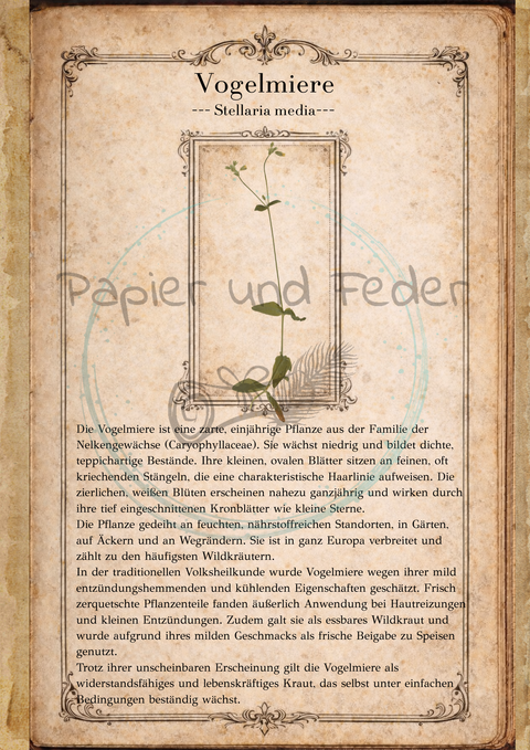 "Sina's Herbarium" // Booklet mit 22 Seiten // DIN A 5