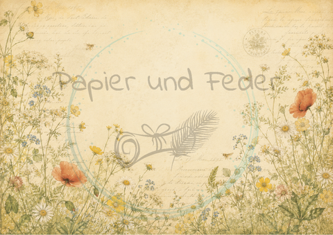 Papier & Feder "Mystery Box" - fertig gepackt MIT Journal