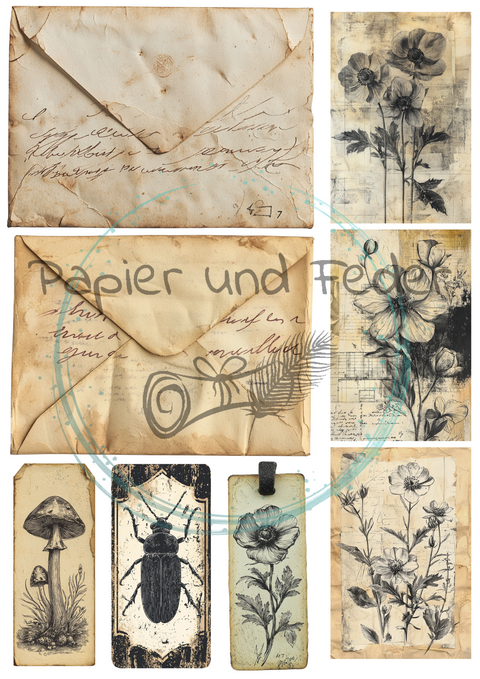"Das Sketchbuch der Natur" // Ephemera & Label Set // Papier & Feder // 11 Seiten // einseitig bedruckt