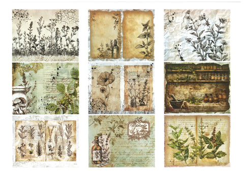 "Sini-Mini" Kreativset "Kräuter" // 17 Seiten // DIN A 4 // 110 g/m² und 160 g/m²