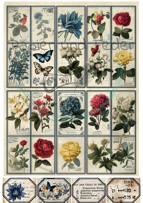 "Hello Autumn" // Ephemera &amp; Label Set // Paper &amp; Pen // 12 pages // printed on one side