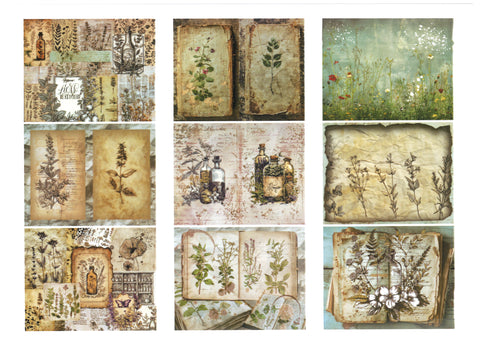 "Sini-Mini" Kreativset "Kräuter" // 17 Seiten // DIN A 4 // 110 g/m² und 160 g/m²