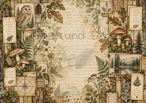 Designpapier "Waldspaziergang" // 12 Blatt // DIN A 4 // einseitig bedruckt