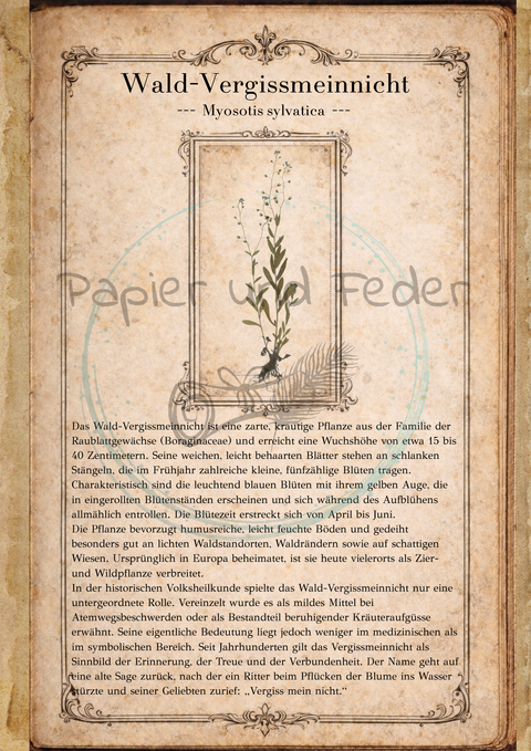 "Sina's Herbarium" // Booklet mit 22 Seiten // DIN A 5