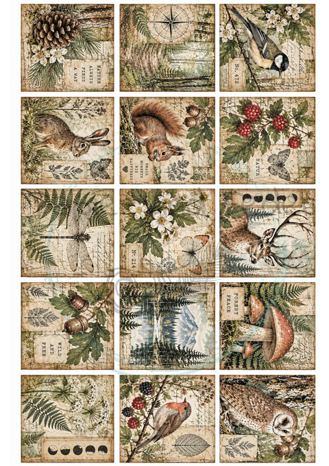 KOMPLETTSET "Waldspaziergang"
