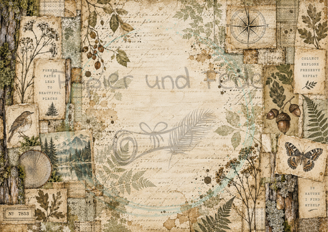 Designpapier "Waldspaziergang" // 12 Blatt // DIN A 4 // einseitig bedruckt