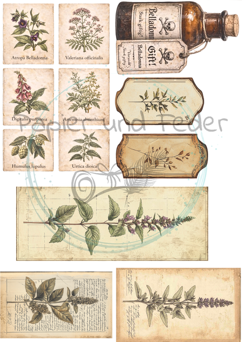 Label- und Ephemeraset zum Papierset "Betty's Kräuterapotheke" // 16 Seiten // DIN A 4 // 160 g/m²
